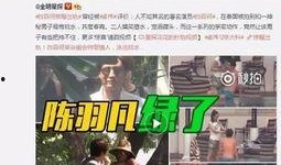 以前爆料樊小惠的视频,视频爆料背后的真相与争议